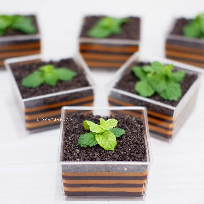 potted-plant-pudding