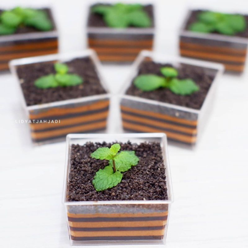 potted-plant-pudding